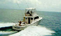 St. Augustine Fishing Charters
